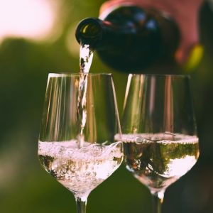 Cata de vinos
