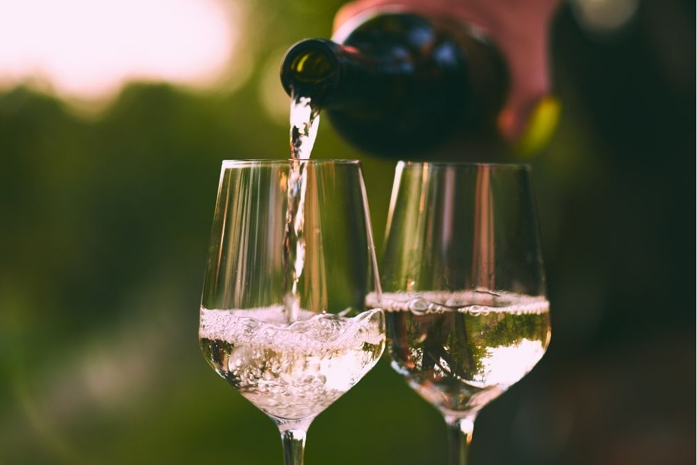Cata de vinos